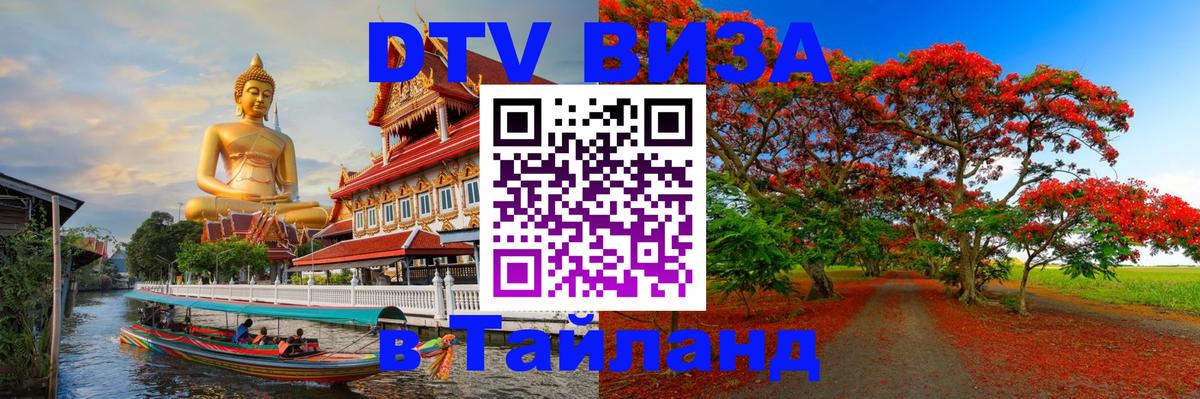 Оформление DTV визы под ключ: стоимость и тарифы, только загранпаспорт - 06.12.2025 